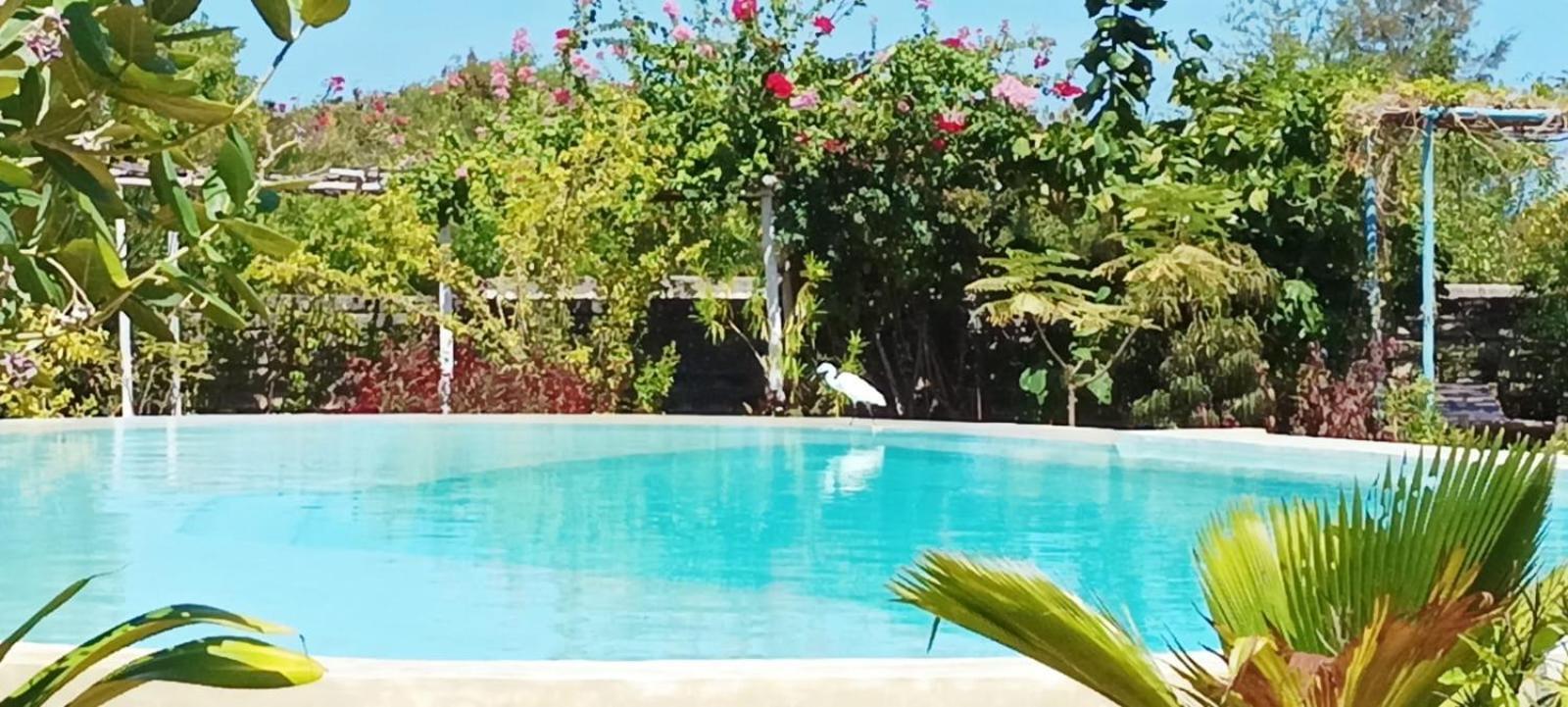 Matemwe Ocean View Villas Екстериор снимка