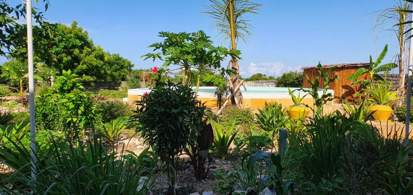 Matemwe Ocean View Villas Екстериор снимка